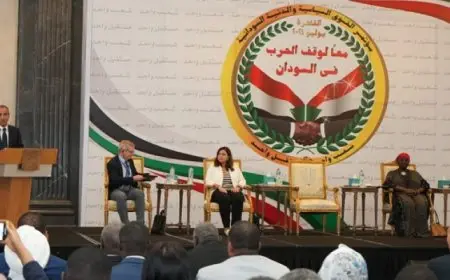 بال .. وزير الخارجية يؤكد أمام مؤتمر القوي السياسية السودانية ضرورة التوصل لحل سياسي شامل يستجيب لآمال السودانيين