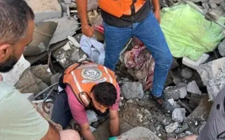 الهيئة الدولية لدعم الشعب الفلسطيني تدعو لزيادة الضغوط على الاحتلال لوقف حرب الإبادة على غزة