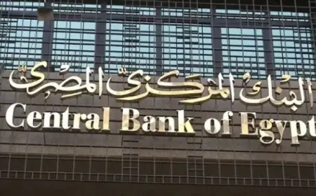البنك المركزي: ارتفاع صافي الاحتياطيات الدولية لمصر إلى 46 مليارا و383 مليون دولار
