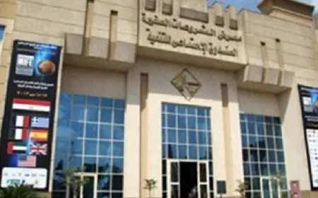 “تنمية المشروعات” ينفذ فعاليات وأنشطة لدعم التمكين الاقتصادي للمرأة ومشروعات ذوي الهمم