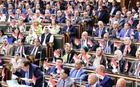 “الخطة والموازنة” بـ النواب: نسعى لتخفيف الأعباء المعيشية عن المواطنين