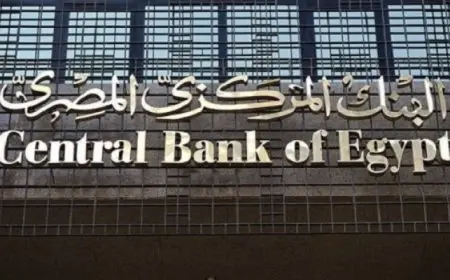 المركزي : ميزان المدفوعات يحقق فائضا كليا 4.1 مليار دولار خلال 9 شهور