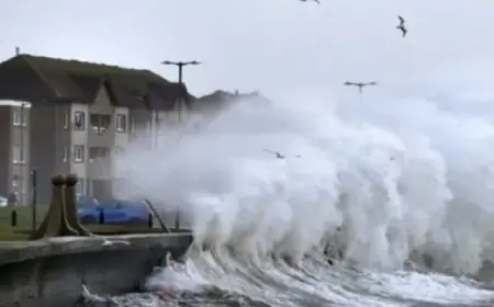 مقتل ثلاثة أشخاص وانقطاع الكهرباء عن الملايين بسبب العاصفة بيريل في تكساس