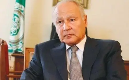 أبو الغيط يدعو اليابان إلى الاعتراف بالدولة الفلسطينية والانحياز للجانب الصحيح من التاريخ