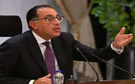 مجلس الوزراء : 6.2 مليار دولار قيمة صادرات مصر الرقمية لعام 2023/2022