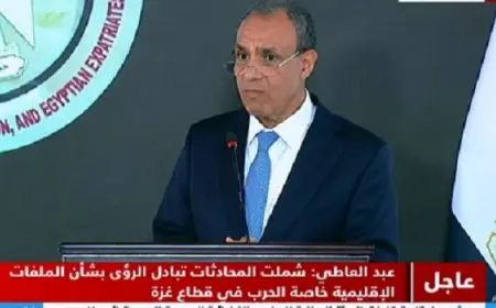 وزير الخارجية: الرئيس السيسي وملك الأردن وجها بالعمل على دفع العلاقات الثنائية لآفاق أرحب