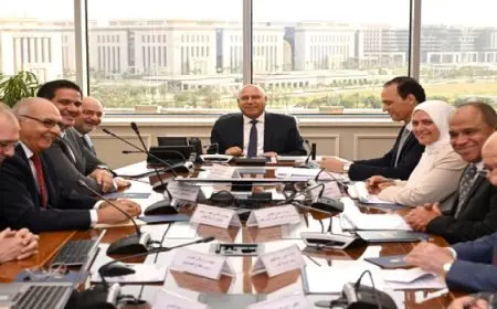 وزير الصناعة والنقل: السوق المصرية تزخر بفرص ومقومات متميزة تؤهلها لتوطين صناعة السيارات