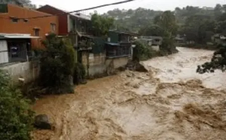 نيبال: فقدان 66 شخصا إثر سقوط حافلتين في المياه جراء انهيار أرضي