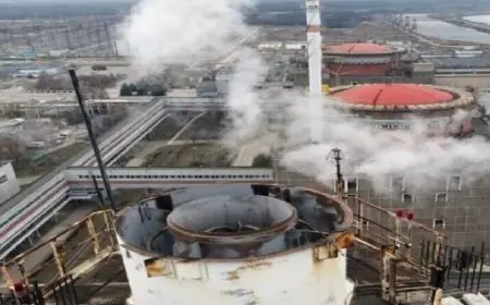 الجمعية العامة للأمم المتحدة تعتمد قرارا يطالب روسيا بسحب قواتها من محطة زابوروجيه