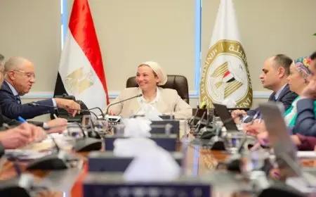 بال .. وزيرة البيئة تبحث مع رئيس اتحاد الصناعات الفرص الاستثمارية في مجال الصناعة الخضراء