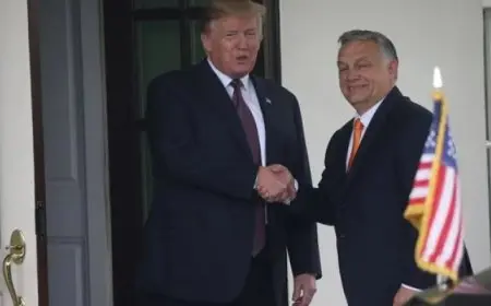 رئيس الوزراء المجري: ترامب سيحل الحرب الروسية في أوكرانيا