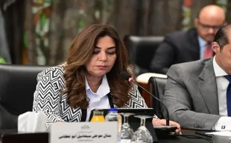 وزيرة التنمية المحلية تشارك في اجتماع اللجنة الخاصة بمناقشة برنامج الحكومة بمجلس النواب