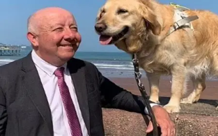 كلبة نائب كفيف تلفت الانتباه في مجلس العموم البريطاني