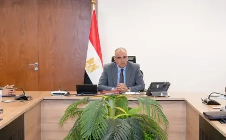 وزير الري يتابع إجراءات تحسين حالة الري بزمام ترعة السويس