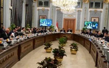 طرح موسع لجميع مشاكل المحليات في اجتماع اللجنة الخاصة لدراسة برنامج الحكومة