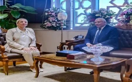 وزيرة البيئة: جريد النخيل مورد اقتصادي يحقق فرصا استثمارية