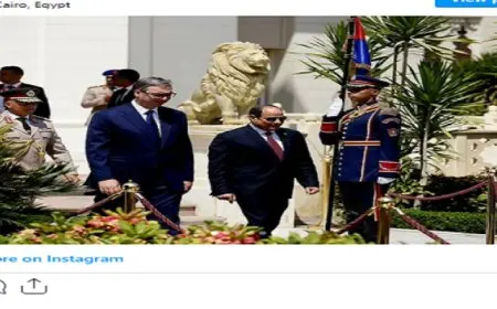 ألكسندر فوتشيتش : مصر وصربيا تمثلان ركائز السلام كلا في جزئه الخاص من العالم