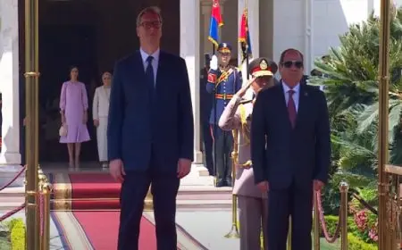 بال وال .. الرئيس السيسي يستقبل نظيره الصربي ألكسندر فوتشيتش في قصر الاتحادية