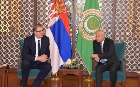 أبو الغيط يبحث مع الرئيس الصربي الـقضايـا الإقـليمية والـدولـية وفـي مقدمتها الحرب الاسرائيلية على قطاع غزة