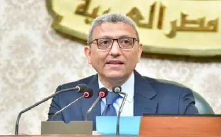 رئيس اللجنة الخاصة لبرنامج الحكومة يشكر وزير الصحة على استجابته لملاحظات النواب