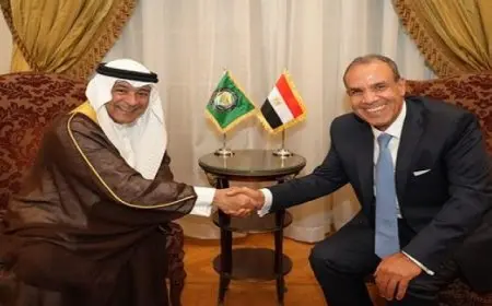 وزير الخارجية والهجرة وشئون المصريين بالخارج يستقبل أمين عام مجلس التعاون الخليجي
