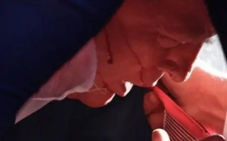 ترامب يعلن إصابته برصاصة في الجزء العلوي من الأذن اليمنى عقب محاولة الاغتيال