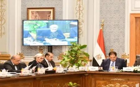 وزيرة البيئة تستعرض برامج محور البيئة في برنامج الحكومة الجديد