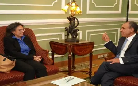 وزير الخارجية يؤكد مواصلة مصر لجهودها في مساعدة الأطراف الليبية على التوافق