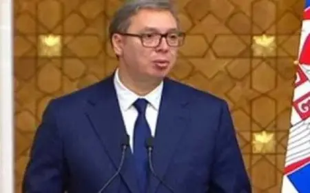 الرئيس الصربي: نأمل في خلق بيئة عمل مثمرة مع مصر لتحقيق أفضل النتائج في المستقبل