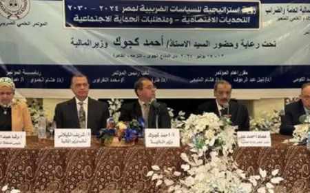 وزير المالية: نستهدف تحقيق الاستقرار الضريبي لدفع التدفقات الاستثمارية