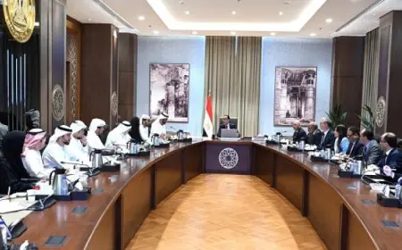 رئيس الوزراء يعلن التعاون مع الإمارات لدعم الشبكة الكهربائية في مصر
