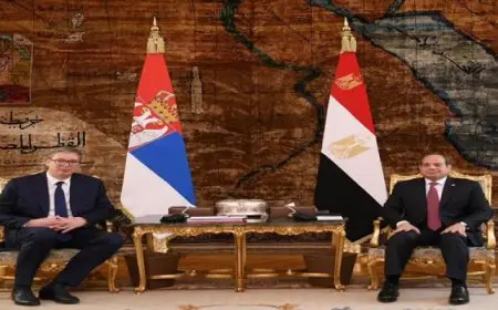 رئيس صربيا يعرب عن تقديره لرؤية الرئيس السيسي .. ويؤكد أهمية تعزيز التعاون بين البلدين