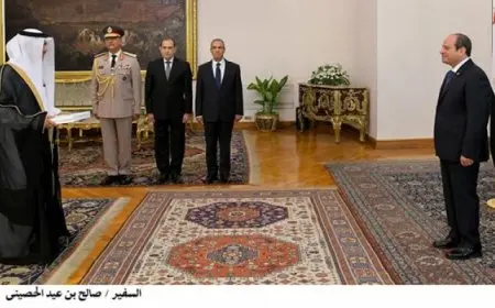 الرئيس السيسي يتسلم أوراق اعتماد 12 سفيرا جديدا لدى مصر