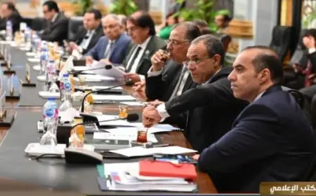 وزير الشئون النيابية : محور الأمن القومي له أولوية قصوى في ظل التحديات في المنطقة