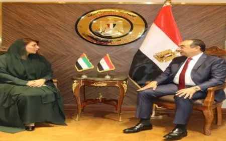 وزير قطاع الأعمال العام يبحث مع سفيرة الإمارات بالقاهرة تعزيز التعاون المشترك