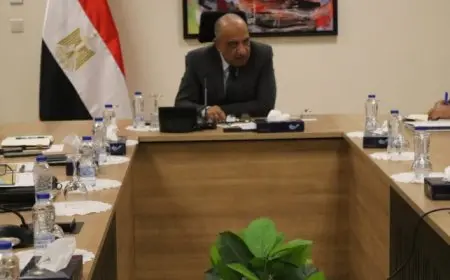 وزير الكهرباء يبحث تنفيذ مشروعات للطاقة المتجددة فى بنبان وخليج السويس