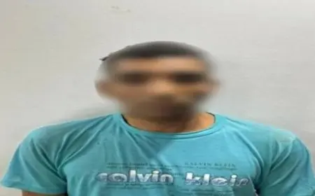 ضبط فني شاشات لارتكابه واقعة نشر عبارات مسيئة بشاشة إعلانات بالجيزة