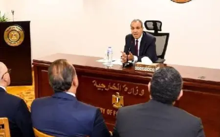 وزير الخارجية والهجرة: مصالح المواطنين المصريين في الخارج أولوية قصوى