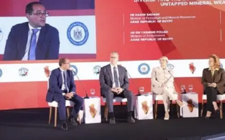 وزير المالية: نعمل على خلق بيئة صديقة للمستثمرين المحليين والدوليين بكل القطاعات
