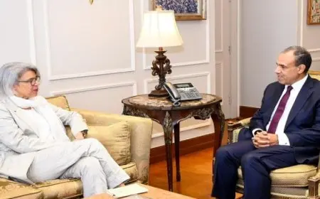 وزير الخارجية يؤكد لمبعوثة الاتحاد الأوروبي الأهمية التي توليها مصر لتعزيز علاقاتها مع دول القرن الإفريقي