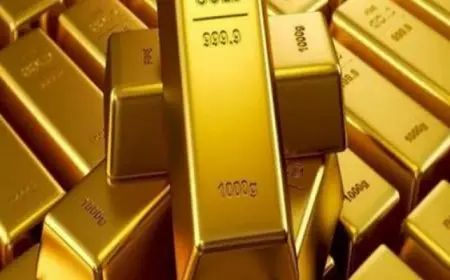 الذهب يستقر بعد أن لامس مستوى قياسيا بدعم آمال خفض الفائدة