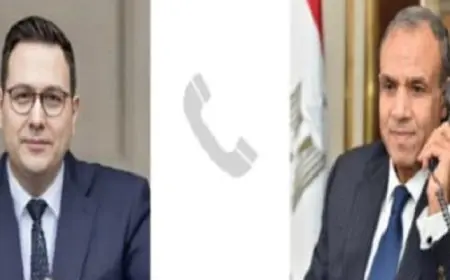 وزير الخارجية يستعرض مع نظيره التشيكي هاتفيا رؤية مصر لحل النزاعات الإقليمية