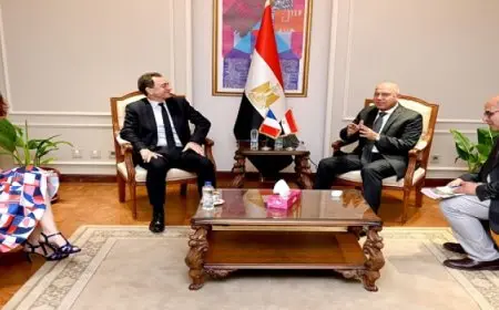 بال .. الوزير يبحث مع الجانب الفرنسي سبل توطين صناعات السيارات والطاقة المتجددة في مصر