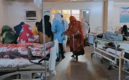 الصحة العالمية: أكثر من ألف هجوم على مرافق الرعاية الصحية في الأراضي الفلسطينية المحتلة منذ أكتوبر