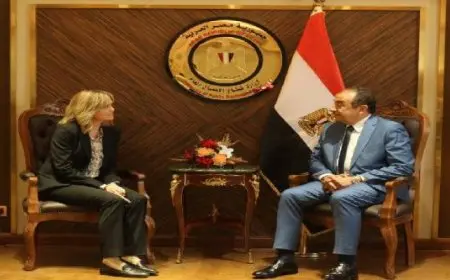 وزير قطاع الأعمال العام يبحث مع سفيرة النرويج بالقاهرة تعزيز التعاون وفرص الاستثمار