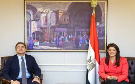 المشاط: حريصون على تعزيز التعاون مع فرنسا لمواصلة تنفيذ الإصلاحات الهيكلية للقطاع الخاص