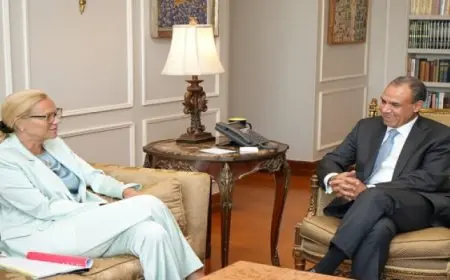 وزير الخارجية يبحث مع مسئولة أممية جهود الإغاثة الإنسانية في قطاع غزة