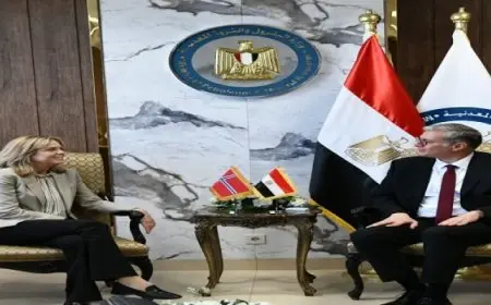 وزير البترول يبحث مع سفيرة النرويج بالقاهرة تنفيذ مشروع إنتاج الهيدروجين الأخضر