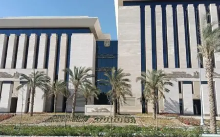 “الاتصالات وتكنولوجيا المعلومات” تؤكد عدم تأثر جمهورية مصر العربية بالعطل التقنى العالمي