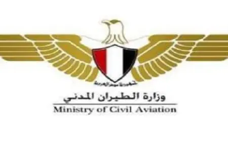 “الطيران المدني”: المطارات المصرية “تعمل بشكل طبيعي”.. وغرفة لمتابعة الأعطال التقنية في العالم